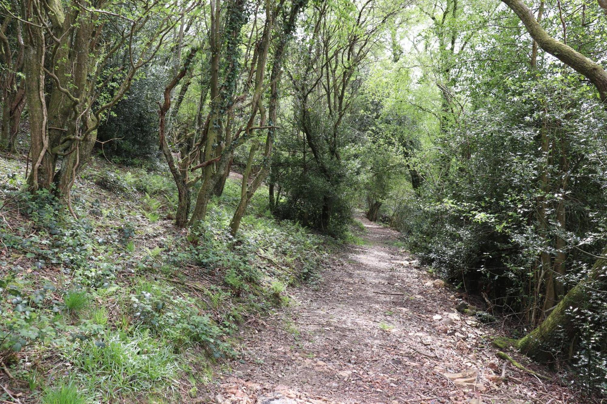 Tunnel Cottages At Blaen-Nant-Y-Groes Farm Aberdare Eksteriør bilde