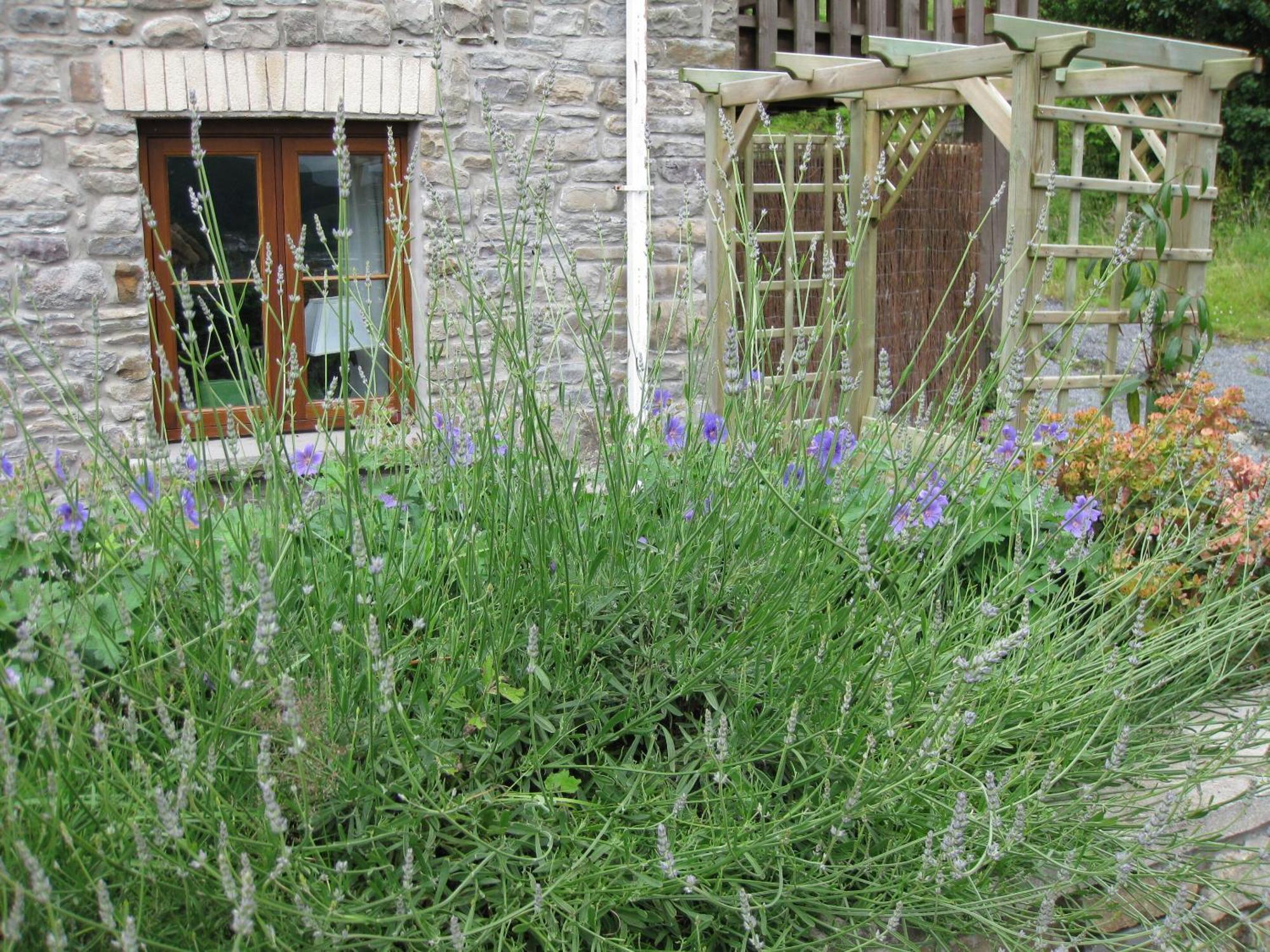 Tunnel Cottages At Blaen-Nant-Y-Groes Farm Aberdare Rom bilde